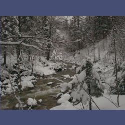 2013-02-02_Rappinschlucht_Lainlalm (039).jpg